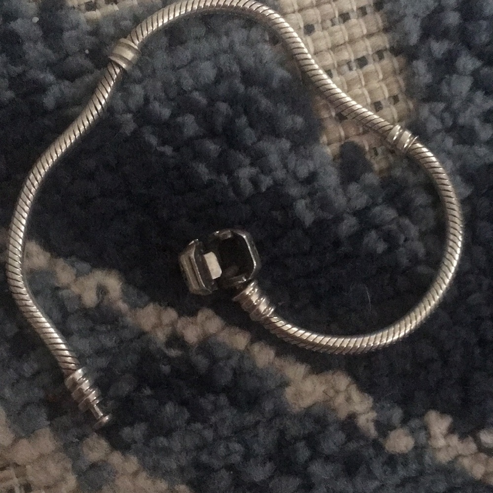 Pandora Snake style charm bracelet. Authentic Silver.
